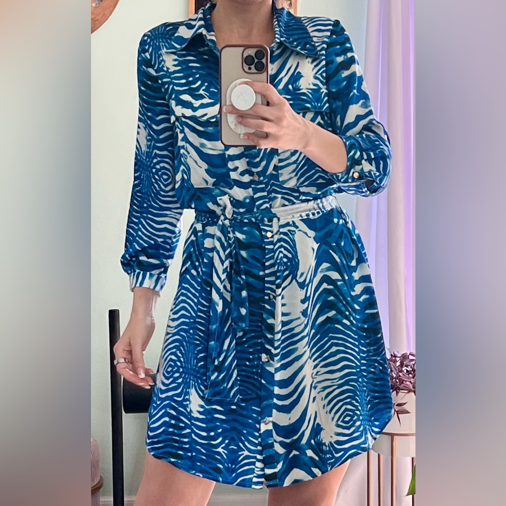 Caché Blue and White Dress